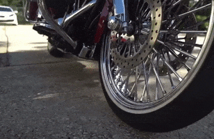 Harley Davidson Motorcycle GIF by Tap The Table