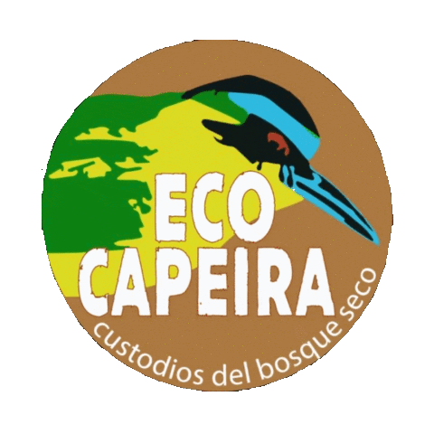 Capeira Sticker