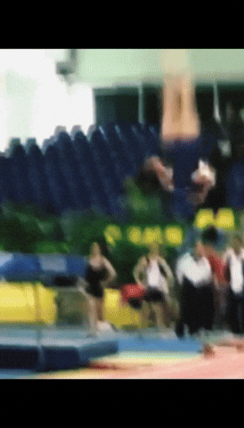 Jozefwadecki Flips Gymnast Gymnastics GIF