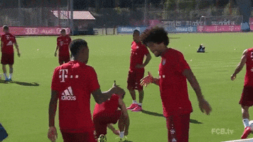 friends training GIF by FC Bayern Munich