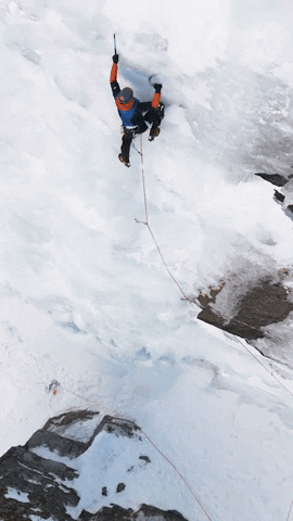 Mammut GIF
