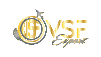 vsfexport Sticker