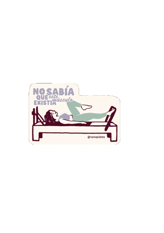 Pilatesreformer Sticker by Naroa Pilates