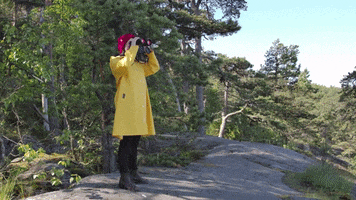 Islet Group GIF