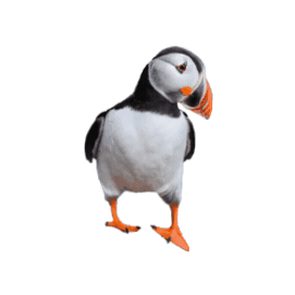 Kneissl Touristik Sticker