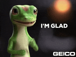 Thats Good GIF by GEICO
