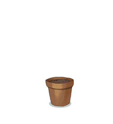 Plant GIF - Find & Share on GIPHY