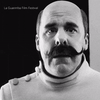 Leave Me Alone Wow GIF by La Guarimba Film Festival