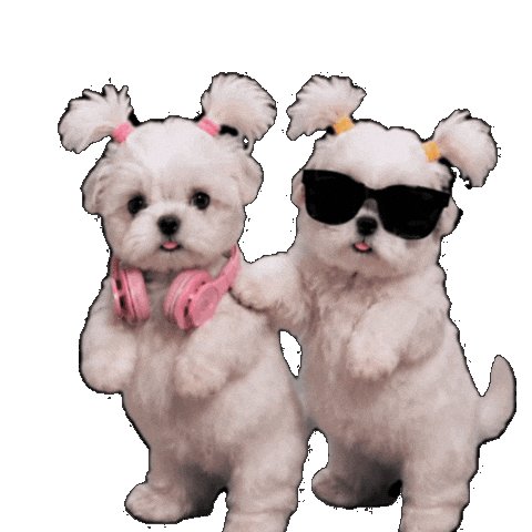 Dance Dog Sticker
