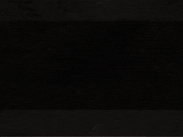 Crazy Critters GIF