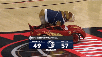 Butler Basketball Dog GIF by Butler University