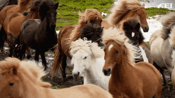 GIF by Local Marketing Plus