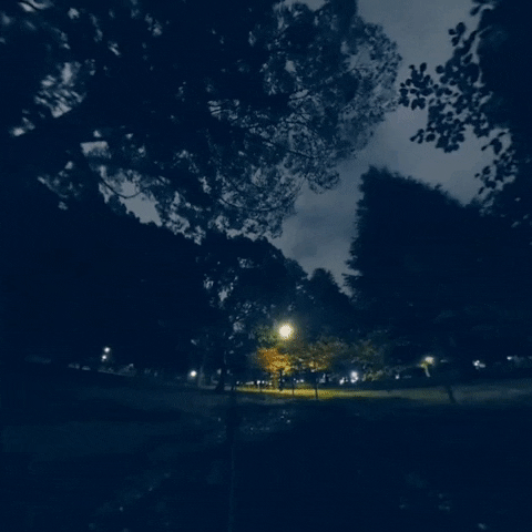 IQUISPIN GIF