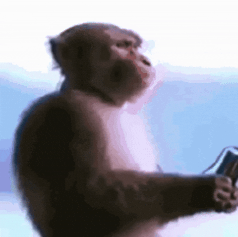 Mememusic45 GIF