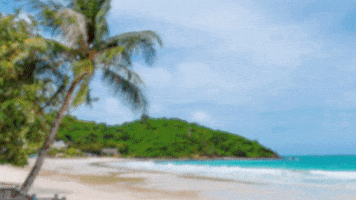 Fajalobitest Gif By Gegif