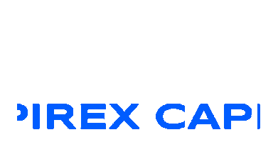 Business Invest Sticker by Empirex Capital
