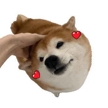 Shiba 柴犬 Sticker