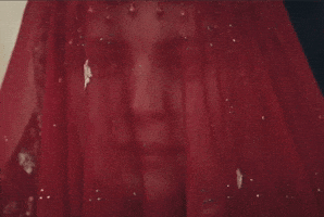 Wedding GIF