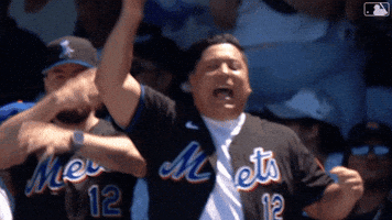 Baseball Mlb GIF by New York Mets