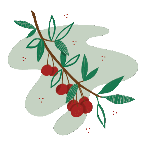 Summer Illustration Sticker