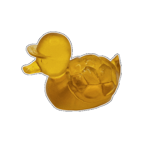 Duck Swimming Sticker by OnlyPrints