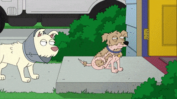Family Guy GIF by FOX TV