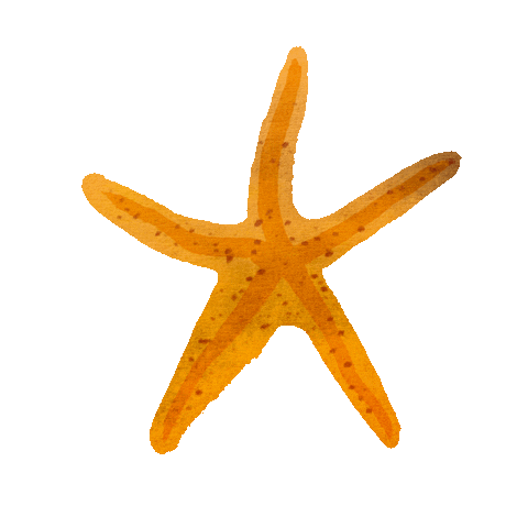 Starfish Sticker by Anthropologie