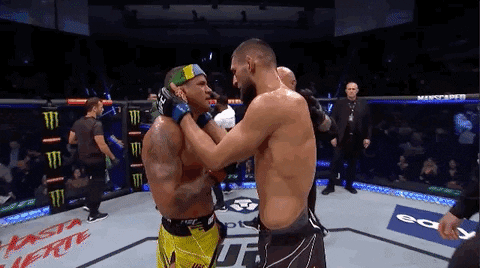 Is there anyone interested in MMA/UFC?