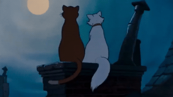 Animation GIF