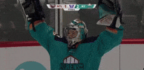 Hockey Win GIF