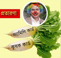 Politics Bangladesh GIF