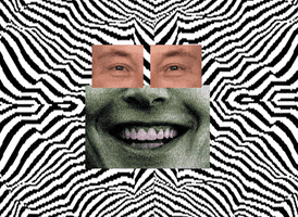 Elon Musk Smile GIF by Luis Ponce