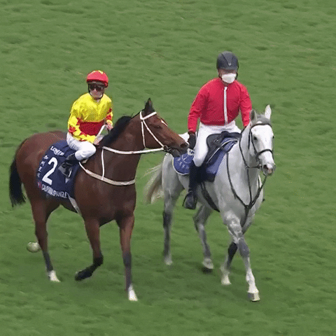 Wave Winner GIF by World Horse Racing