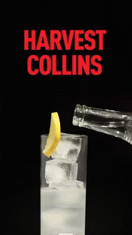 Refreshing Happy Hour GIF by American Harvest Vodka