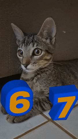 7 GIF