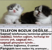 Pampam GIF