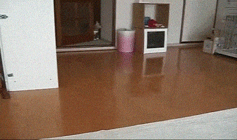 hand objects GIF