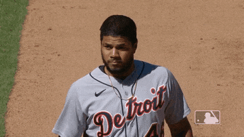 Sport Baseball GIF by Detroit Tigers