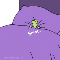 Mood Night GIF by Loof and Timmy