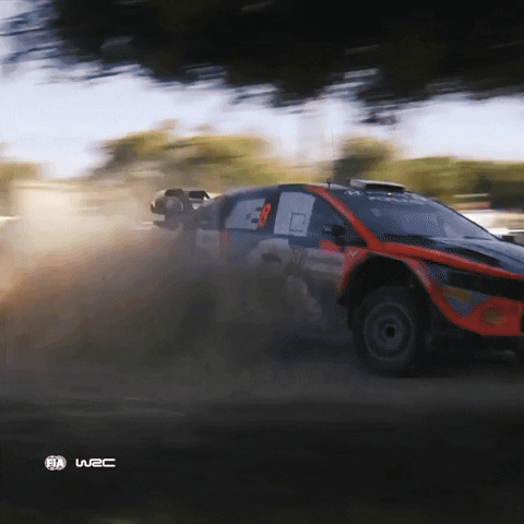 Sport Racing GIF by FIA World Rally Championship