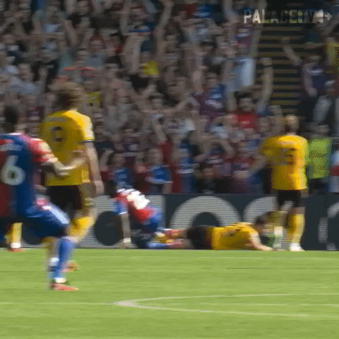Happy Come On GIF by Crystal Palace Football Club