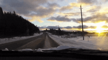 early morning canada GIF by Laurentian University