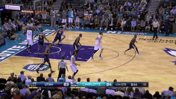 fazzettino  GIF