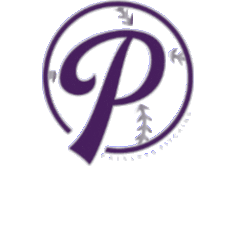 Paisley Sticker by Paisleys Pitching