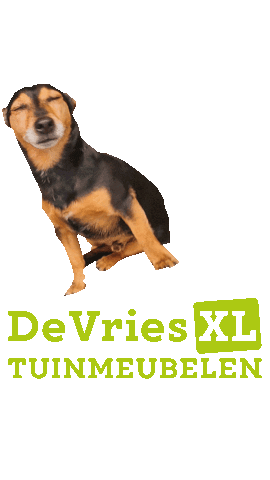 Dance Love Sticker by De Vries XL