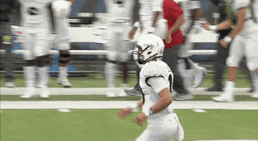 touchdown kz GIF by UCF Knights