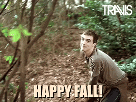 Fran Healy Fall GIF by Travis