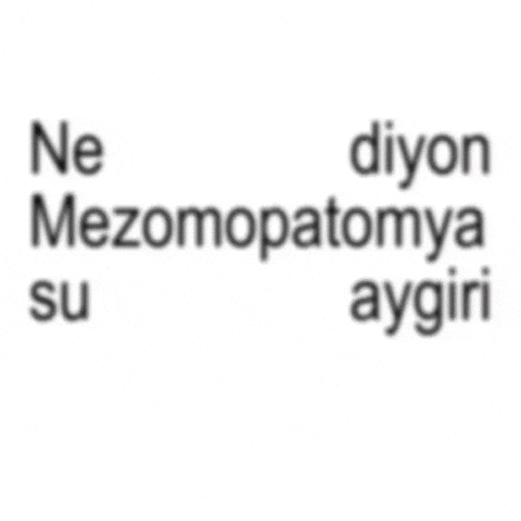Garavel Usta GIF