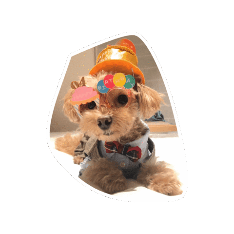 Dog Sticker