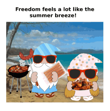 Beach Sunglasses GIF